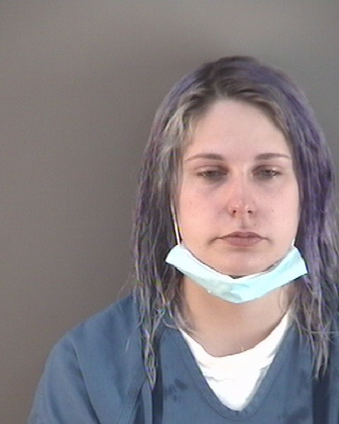 Mugshot of BRIDGET MICHELLE PETERS