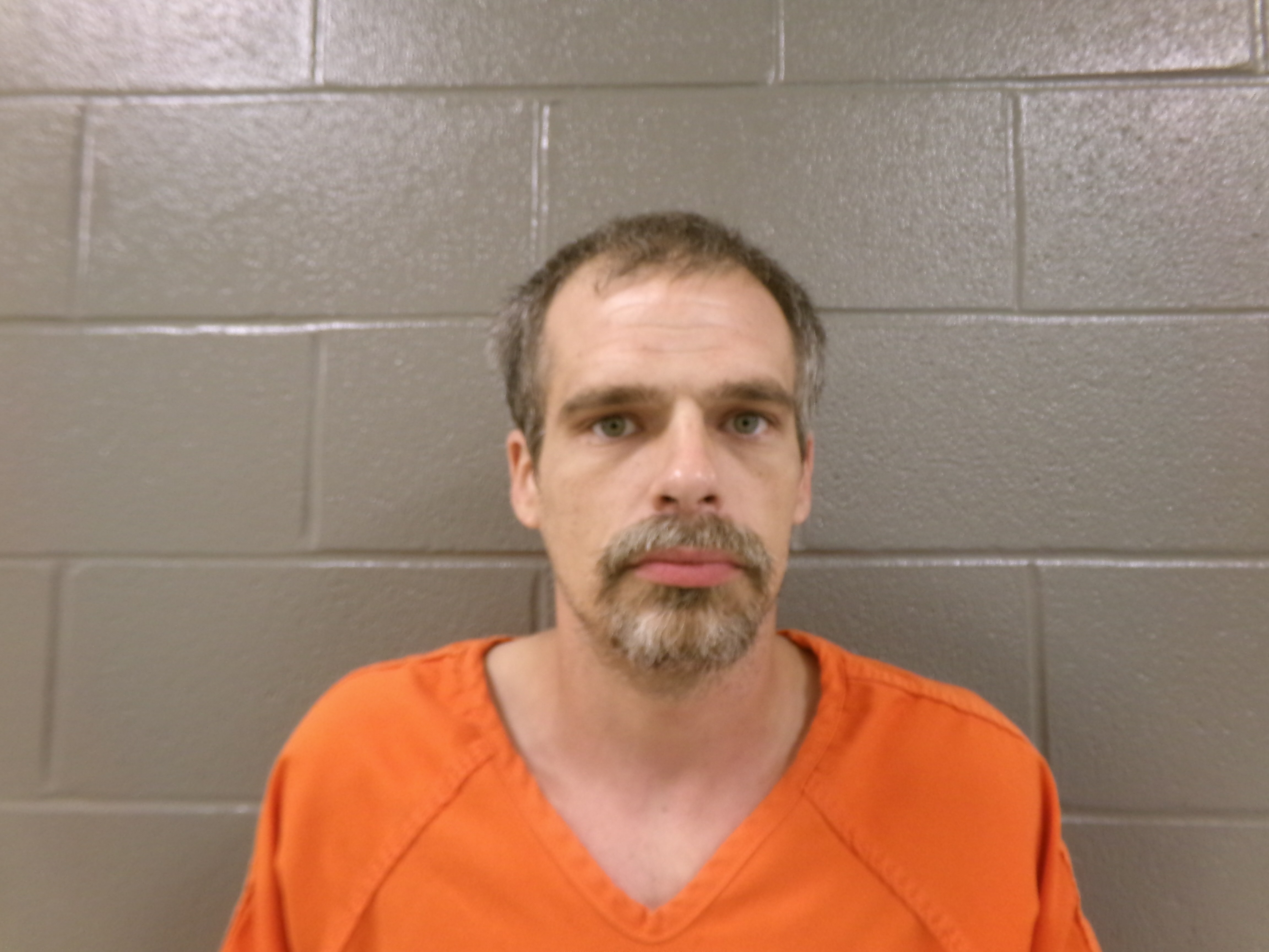 Mugshot of ANTHONY LEE RINK