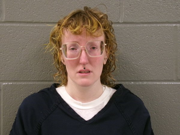 Mugshot of SADI ANNE VINING