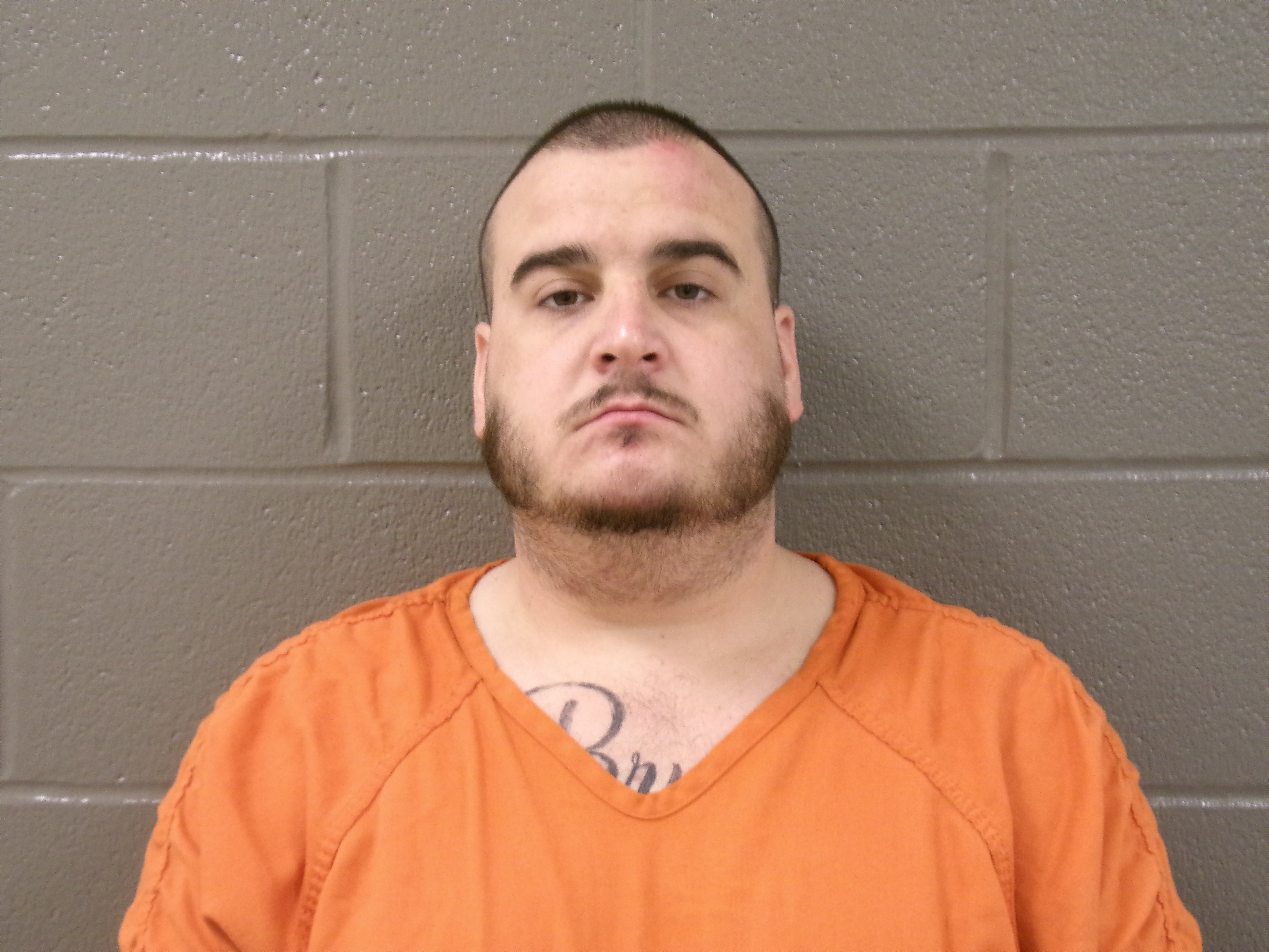 Mugshot of ALEX MICHAEL NAEYAERT