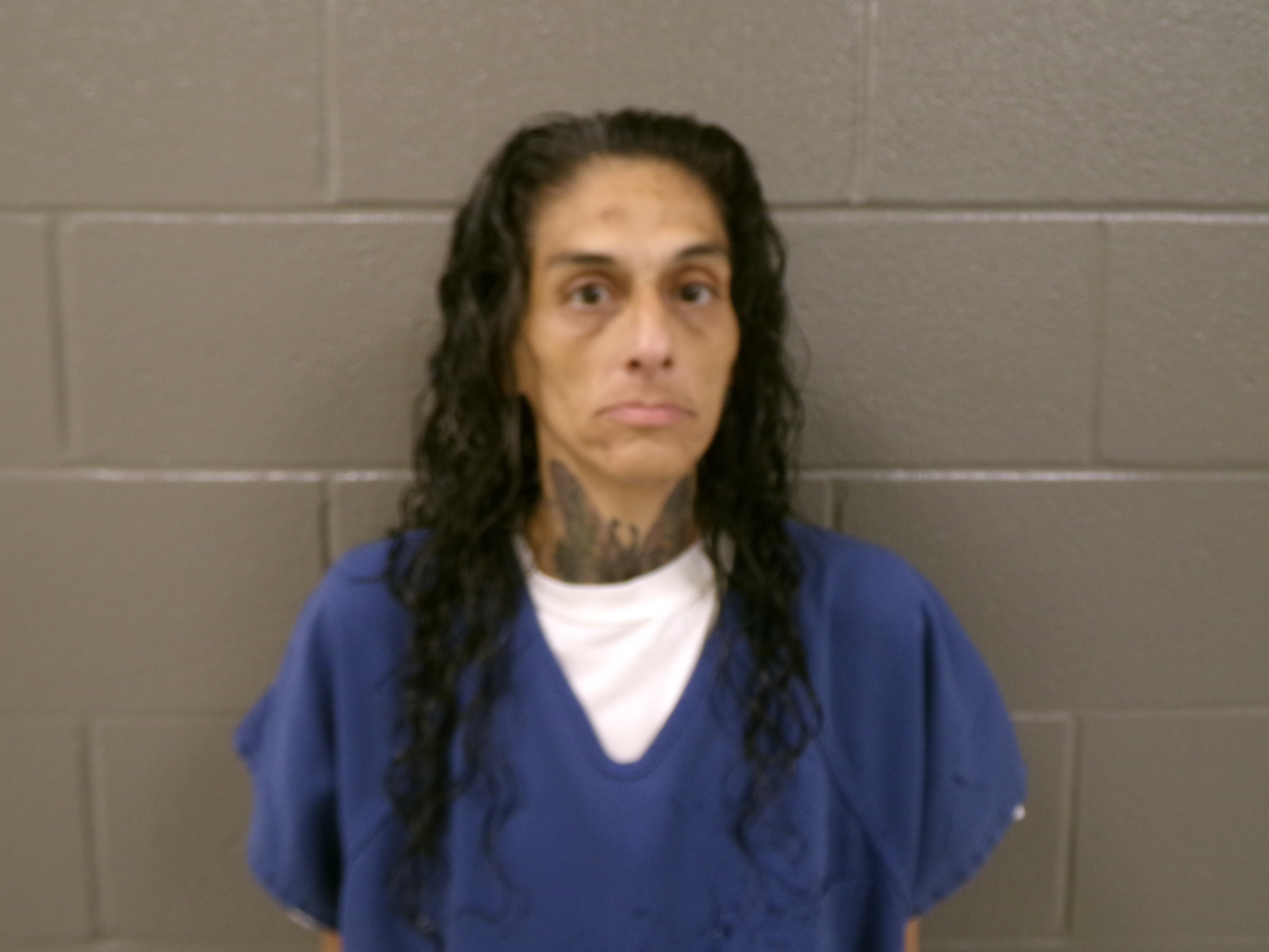 Mugshot of ELIZABETH ROSE RAMIREZ
