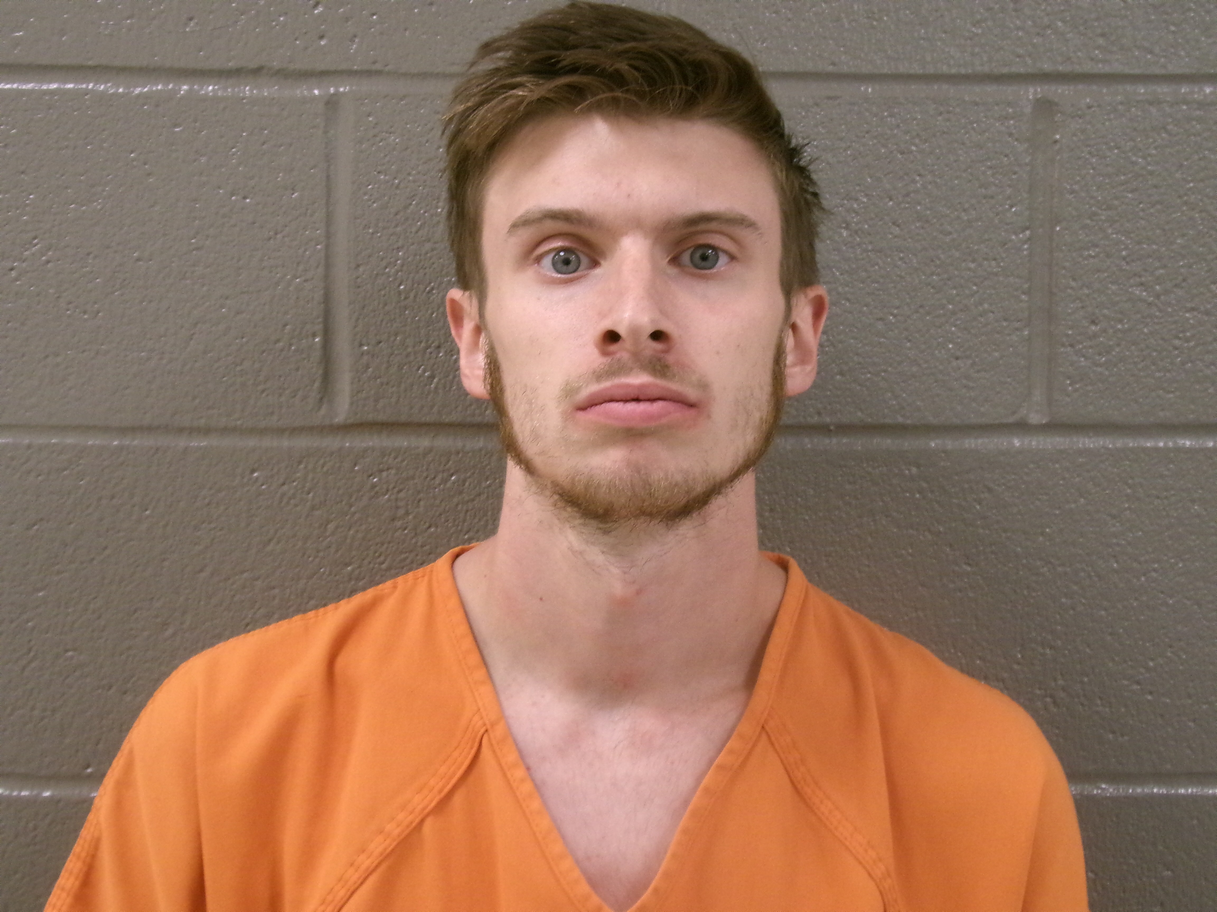 Mugshot of RYLAN SHAYNE FLEMMINGS