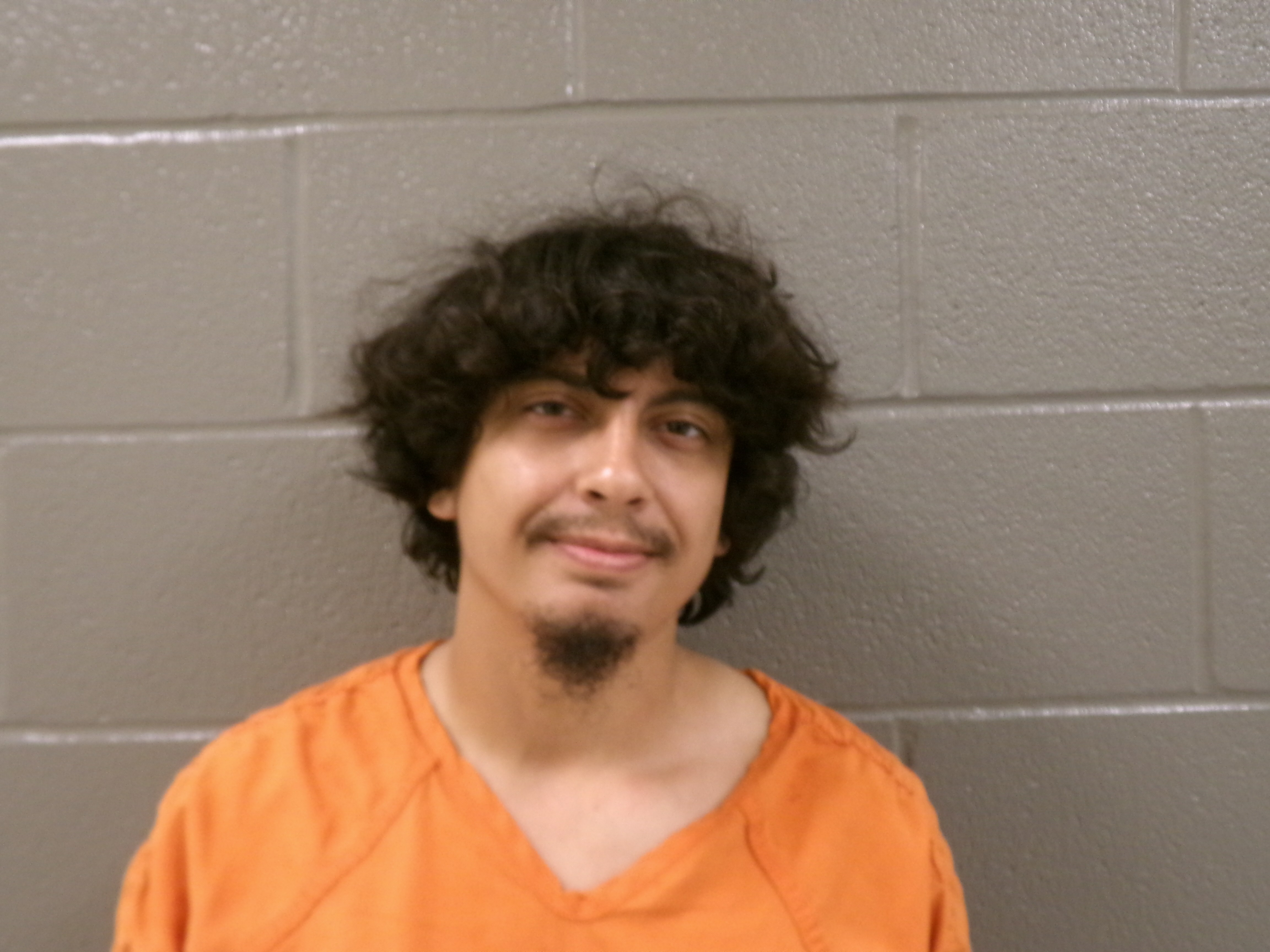 Mugshot of GAIGE XAVIER LEAL