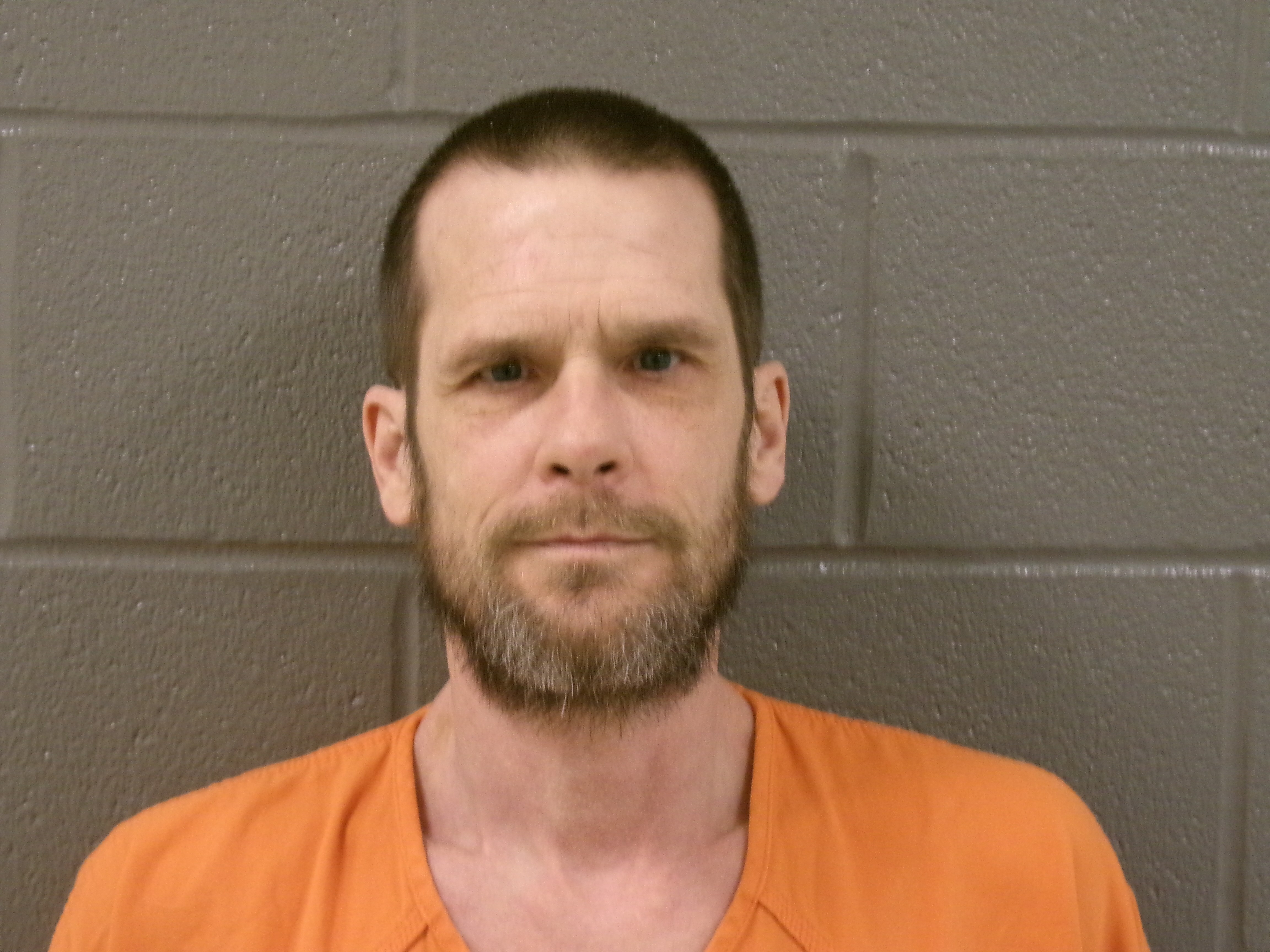 Mugshot of DAVID WAREING FRY