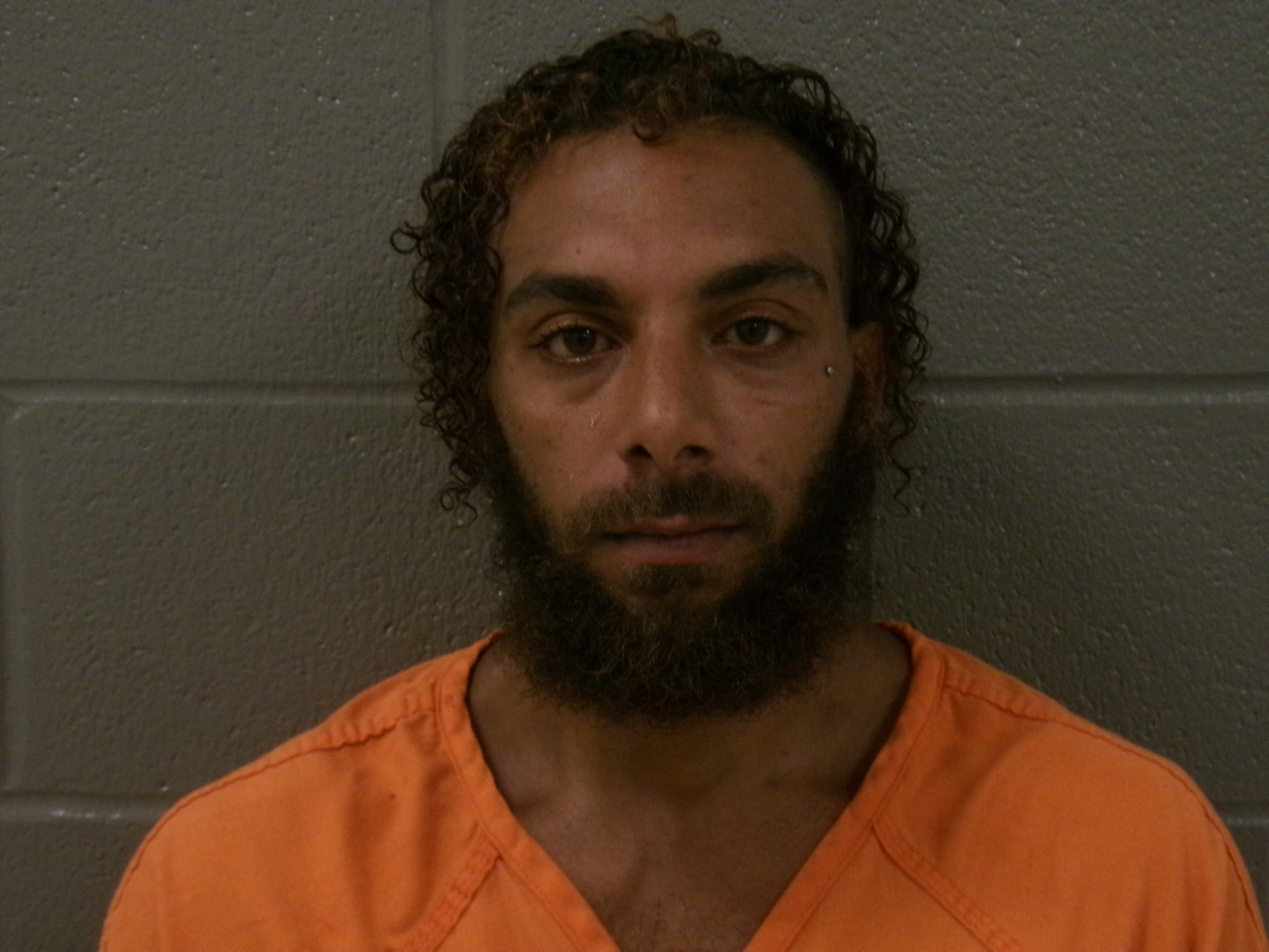 Mugshot of ANTHONY LAVELLE JR RUSHING