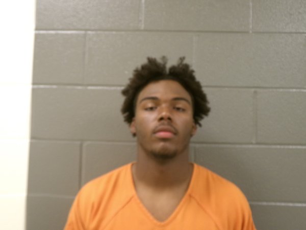 Mugshot of JONATHAN LEE JR GOINS