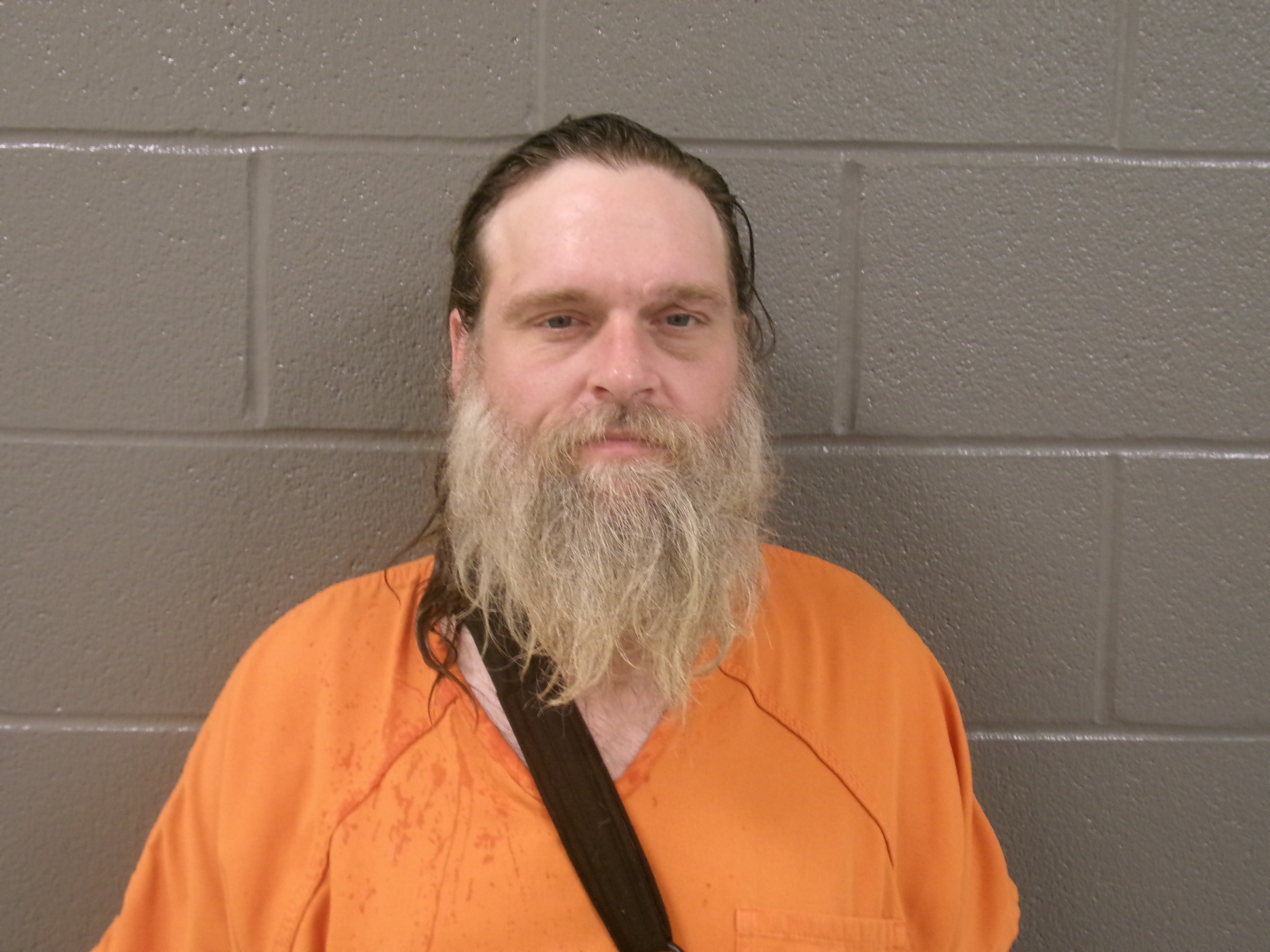 Mugshot of DAVID DONALD ROBISON