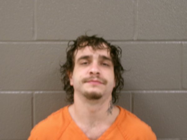 Mugshot of BRANDON LEE POLEN