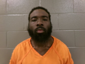 Mugshot of TE`SEAN MARTIN LAMONDS