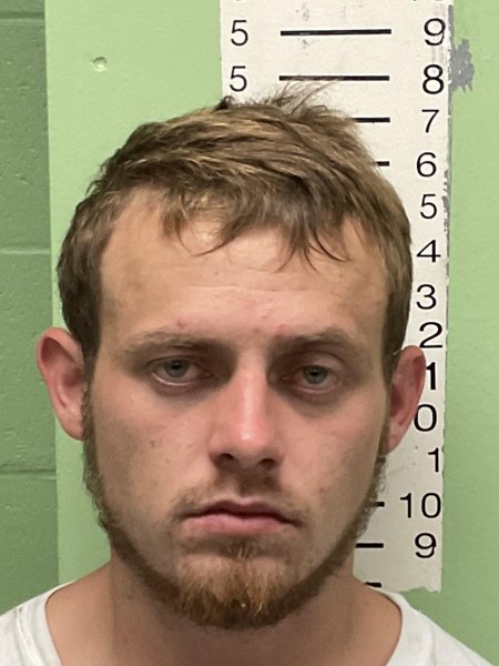 Mugshot of DAVID ALEX ST CLAIR