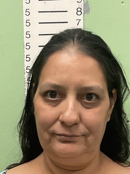 Mugshot of APRIL ISIS TORRES
