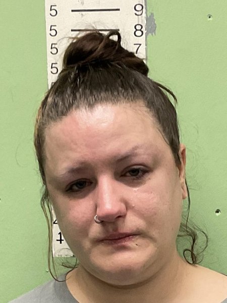 Mugshot of JODI ELIZABETH HOLLADAY