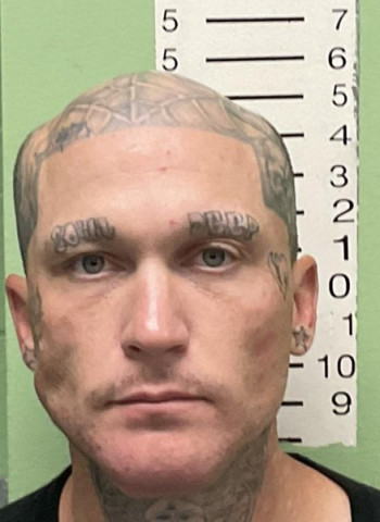 Mugshot of RANDY DALE DOBBINS