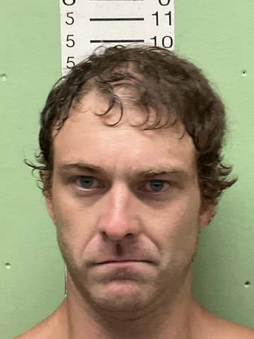 Mugshot of CYLE LEE WILSON