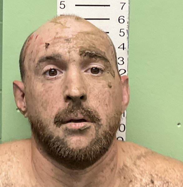 Mugshot of NICKEY LEWIS LOVE