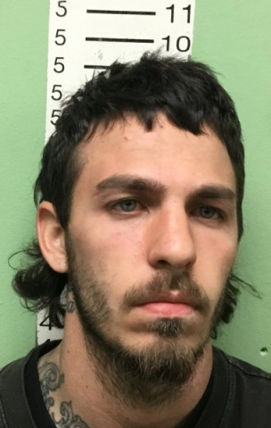 Mugshot of MICHAEL DALE DARLAND