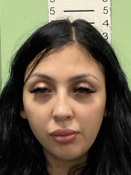 Mugshot of YARICZA MOJICA