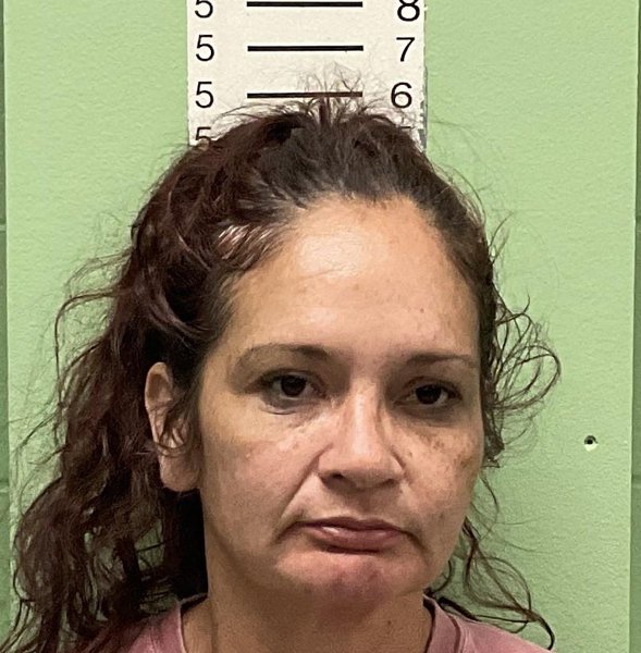Mugshot of LOU ANN HAMILTON