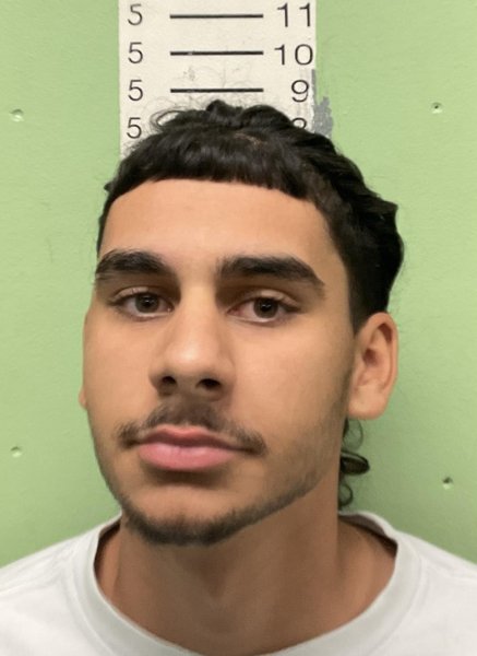 Mugshot of RICARDO DEJESUS PENA