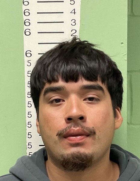Mugshot of JESUS RUFAEL FLONES