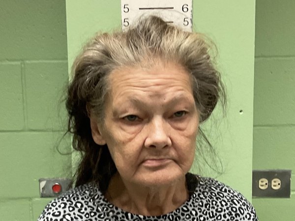 Mugshot of SHANNIN LINN ANDERSON