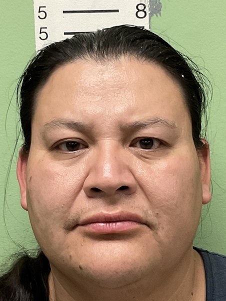 Mugshot of LYNSEY WILSON THOMAS