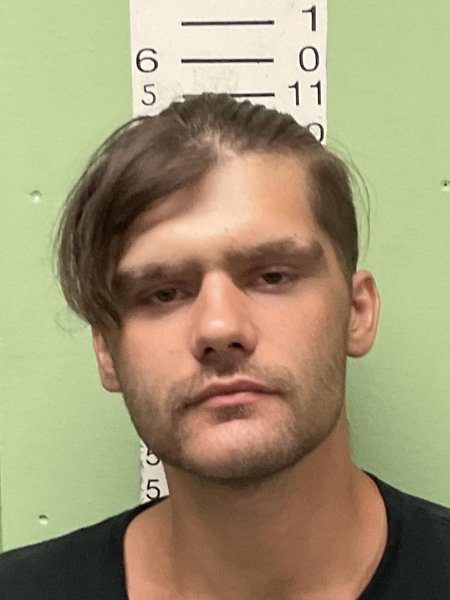 Mugshot of WILLIAM DANIEL JUNIOR. MCCARTY