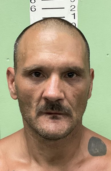 Mugshot of RODNEY GLENN MCMICHAEL