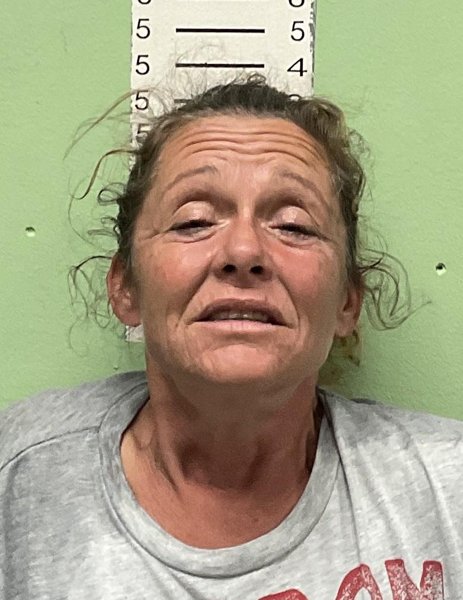 Mugshot of BRIDGET LOUISE THOMPSON