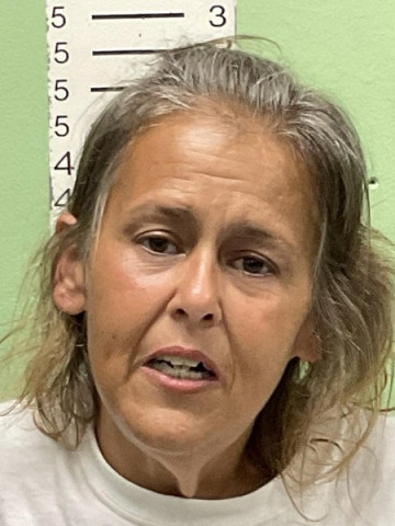 Mugshot of SUSAN MICHELLE COFFEY