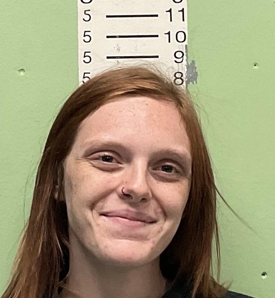 Mugshot of VANESSA RAELYN HARE