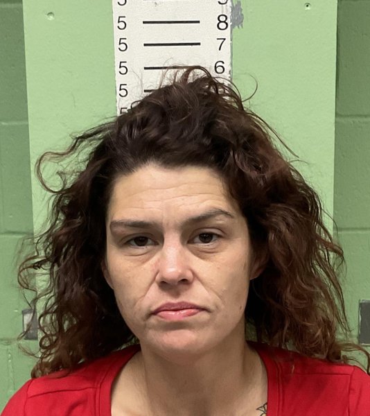 Mugshot of TERRI FAULK