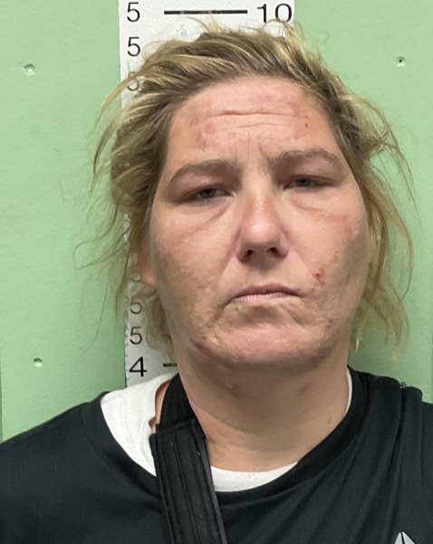 Mugshot of DEBORAH NICOLE OTT