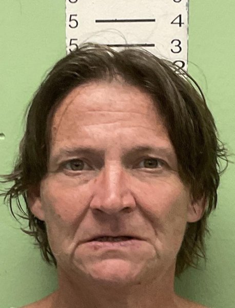 Mugshot of JENNIFER ELIZABETH WILKIE