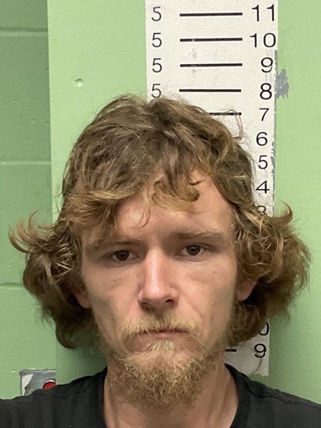 Mugshot of JESSE JAMES FANNON
