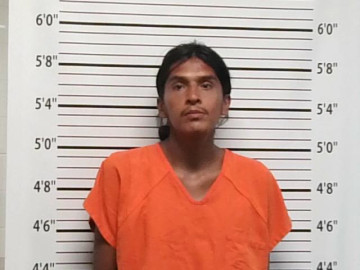 Mugshot of MICHAEL BOHAY
