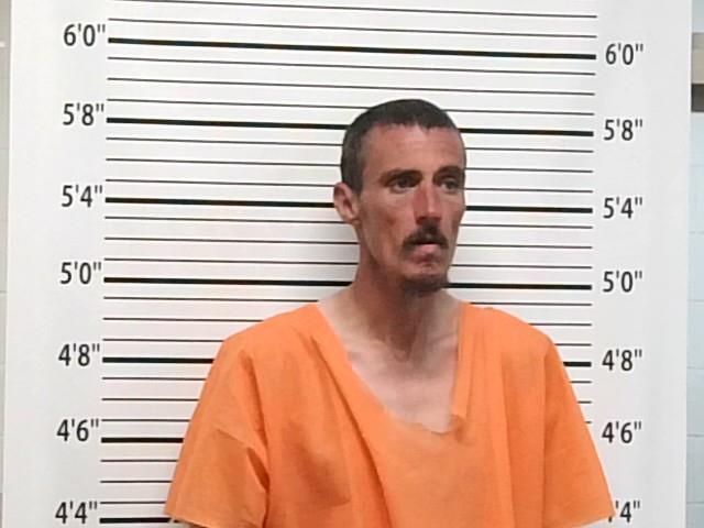 Mugshot of WILLIAM PATRICK NOLAN