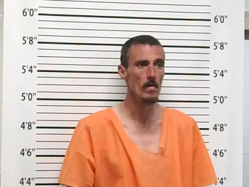 Mugshot of WILLIAM PATRICK NOLAN