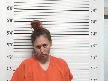 Mugshot of JESSICA LITTLE