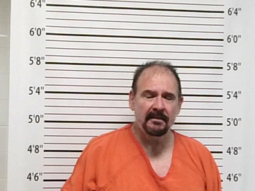 Mugshot of WARREN VINCENT LEE