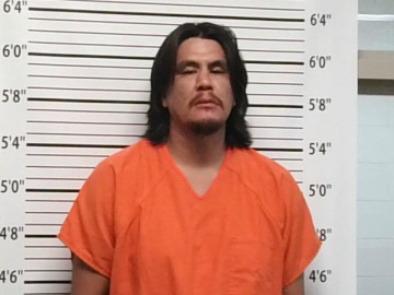 Mugshot of BUDDY LEROY WILLIAMS