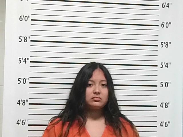 Mugshot of EMERY DOMEBO
