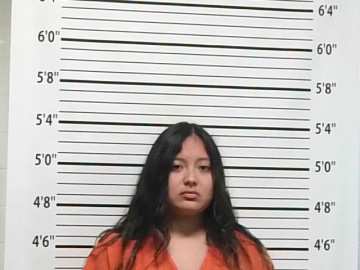 Mugshot of EMERY DOMEBO