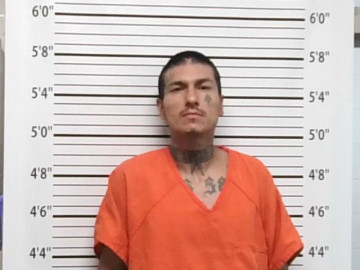 Mugshot of ROBIN LONGHAT
