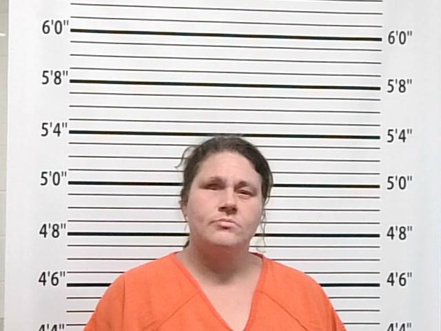 Mugshot of TRACI LYNAE VIDRINE
