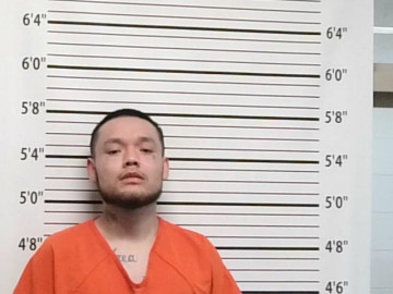 Mugshot of SETH DOMEBO