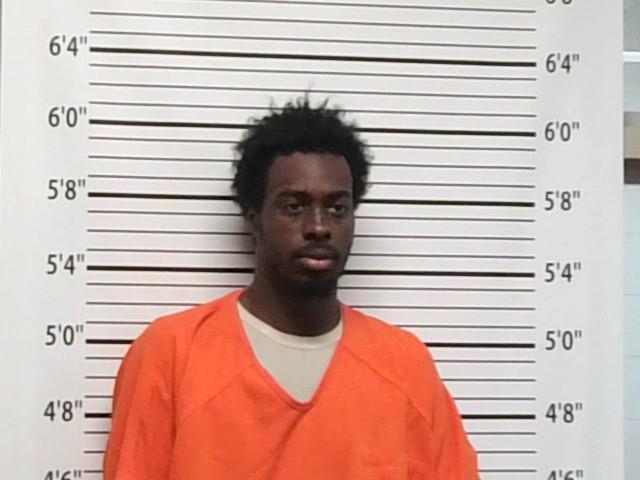 Mugshot of DEANTE WILLHOITE