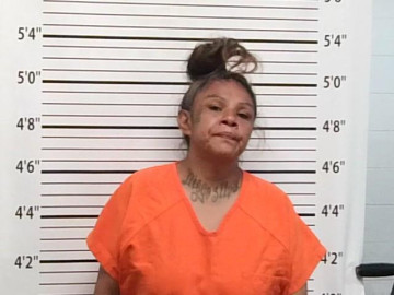 Mugshot of ALICIA MARIE HORSECHIEF