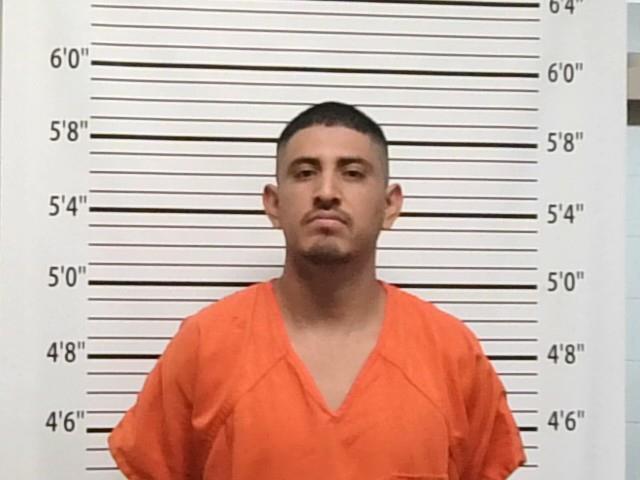 Mugshot of JAMIE FERNANDEZ
