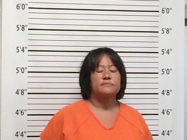 Mugshot of ROBYN VERLENE WALKER